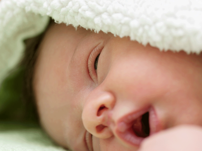 ¿Por qué elegir telas de algodón para las Sábanas de mi bebé? littledreams.cl